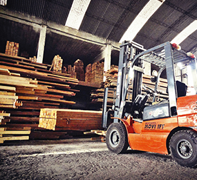 establecimiento